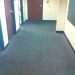 commercial carpet shampooing